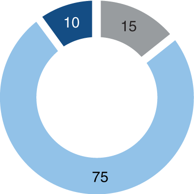 Chart showing the investment allocation for a Conservative profile: 75% in bonds, 15% in cash, and 10% in equities.