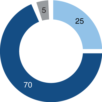 Chart showing the investment allocation for a Dynamic profile: 70% in equities, 25% in bonds, and 5% in cash.