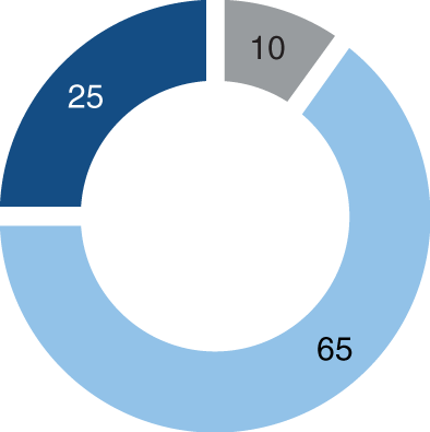Chart showing the investment allocation for a Moderate profile: 65% in bonds, 25% in equities, and 10% in cash.